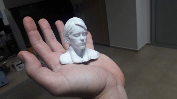 ProDe performed:  Face Scanning with ArctesEva 3D and printning the model